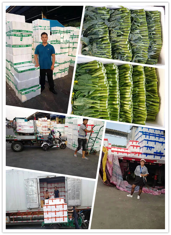 德赢·(VWIN)官方网站-AC米兰官方合作同伴