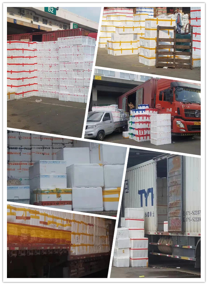 德赢·(VWIN)官方网站-AC米兰官方合作同伴