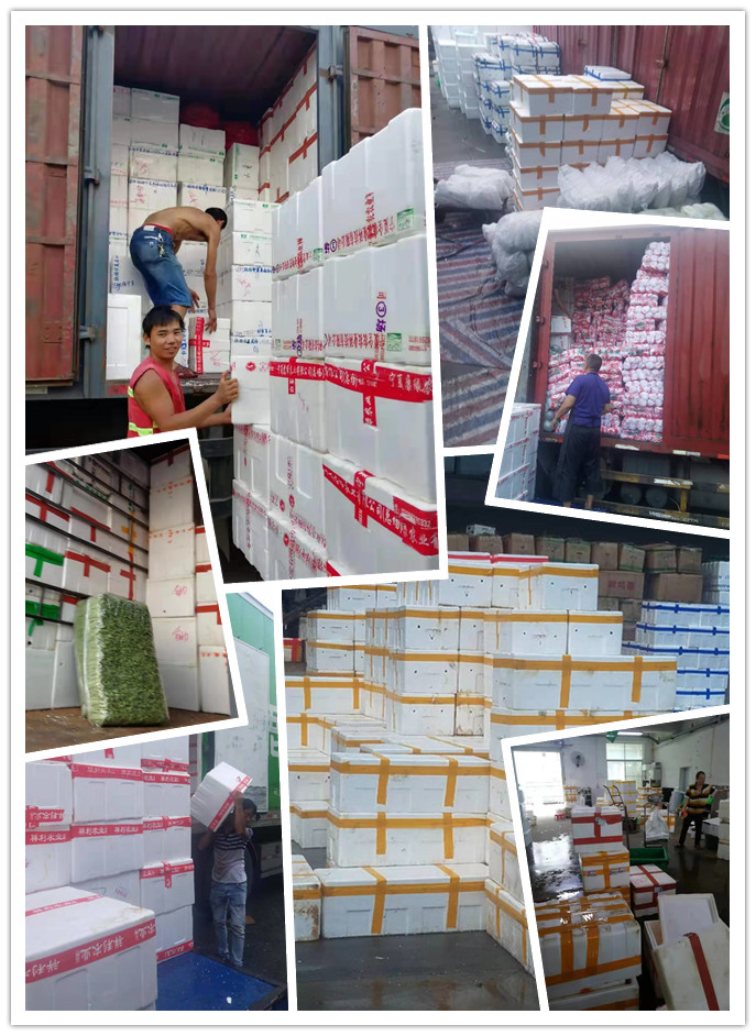 德赢·(VWIN)官方网站-AC米兰官方合作同伴