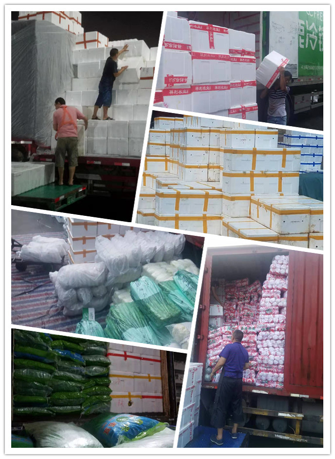 德赢·(VWIN)官方网站-AC米兰官方合作同伴