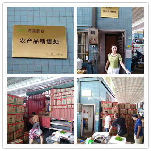 德赢·(VWIN)官方网站-AC米兰官方合作同伴