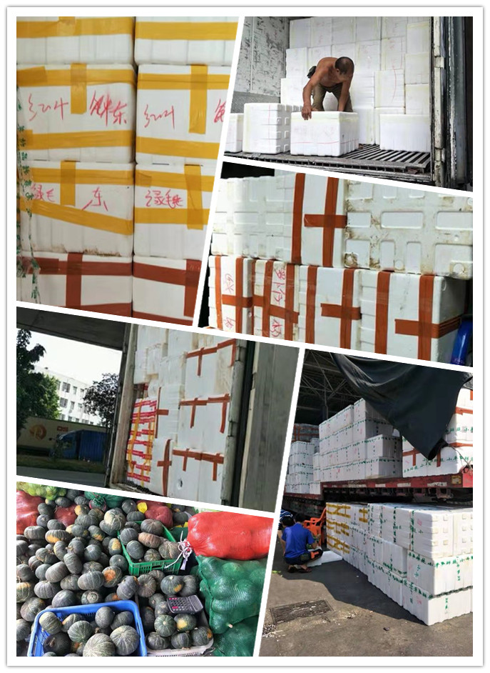 德赢·(VWIN)官方网站-AC米兰官方合作同伴