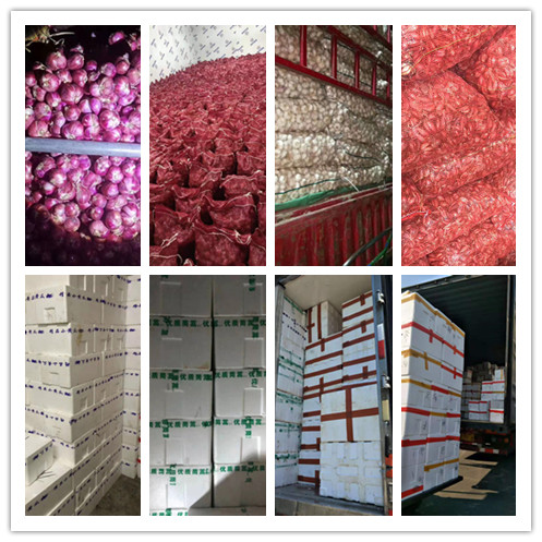 德赢·(VWIN)官方网站-AC米兰官方合作同伴