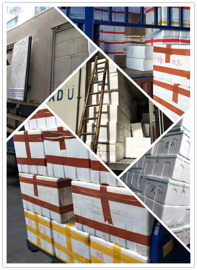 德赢·(VWIN)官方网站-AC米兰官方合作同伴