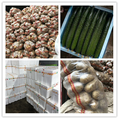 德赢·(VWIN)官方网站-AC米兰官方合作同伴