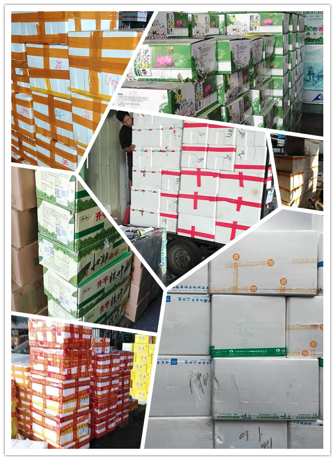 德赢·(VWIN)官方网站-AC米兰官方合作同伴