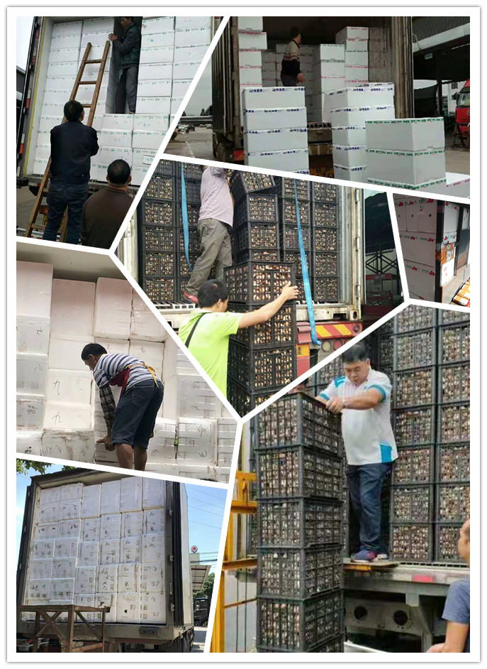 德赢·(VWIN)官方网站-AC米兰官方合作同伴