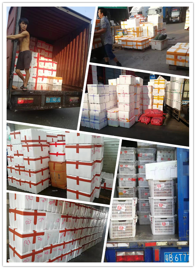 德赢·(VWIN)官方网站-AC米兰官方合作同伴