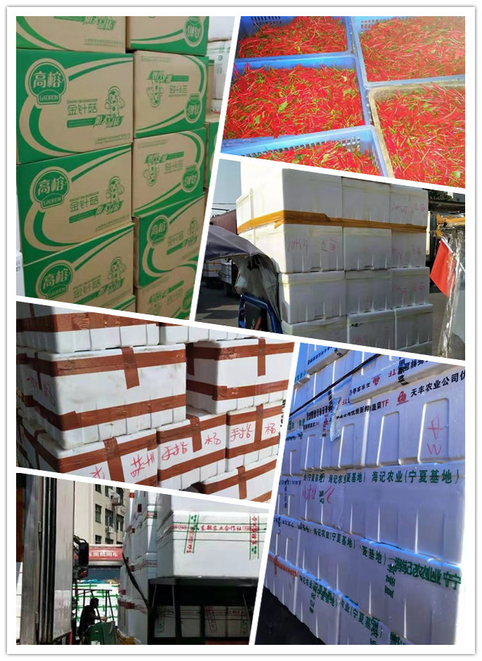 德赢·(VWIN)官方网站-AC米兰官方合作同伴