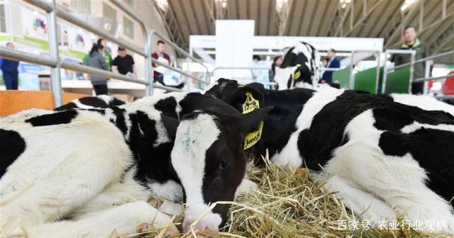 德赢·(VWIN)官方网站-AC米兰官方合作同伴