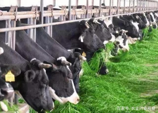 德赢·(VWIN)官方网站-AC米兰官方合作同伴