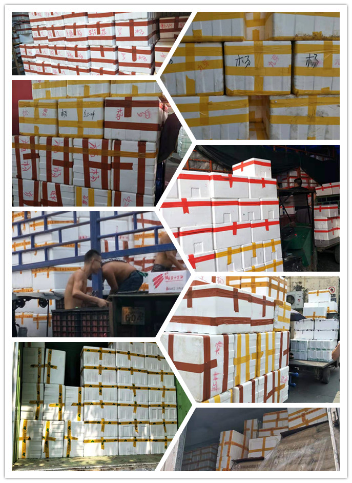 德赢·(VWIN)官方网站-AC米兰官方合作同伴