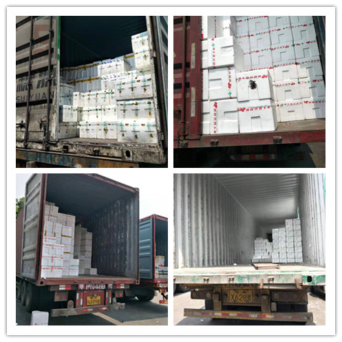 德赢·(VWIN)官方网站-AC米兰官方合作同伴