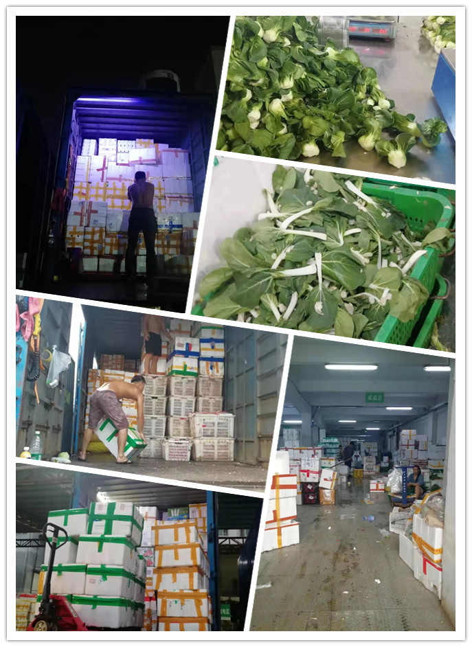 德赢·(VWIN)官方网站-AC米兰官方合作同伴