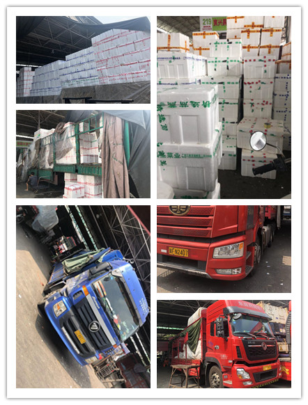 德赢·(VWIN)官方网站-AC米兰官方合作同伴