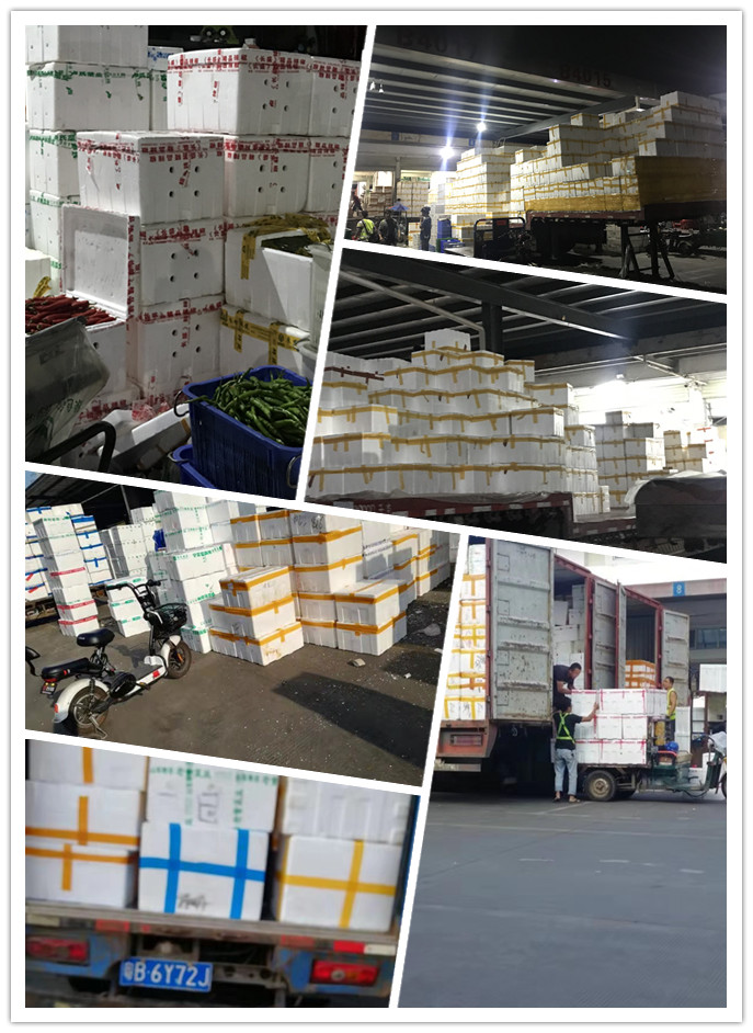 德赢·(VWIN)官方网站-AC米兰官方合作同伴