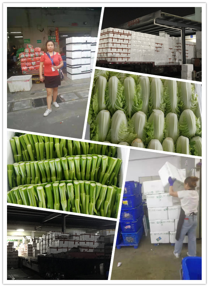 德赢·(VWIN)官方网站-AC米兰官方合作同伴