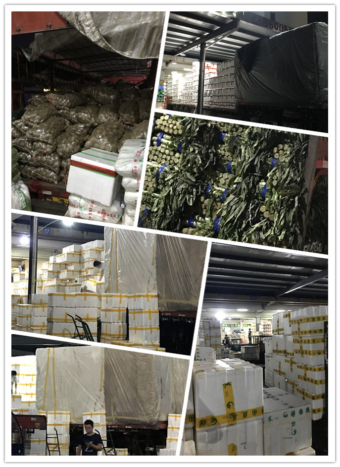 德赢·(VWIN)官方网站-AC米兰官方合作同伴