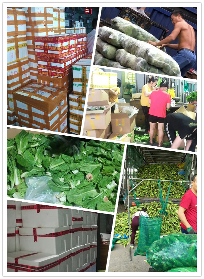 德赢·(VWIN)官方网站-AC米兰官方合作同伴