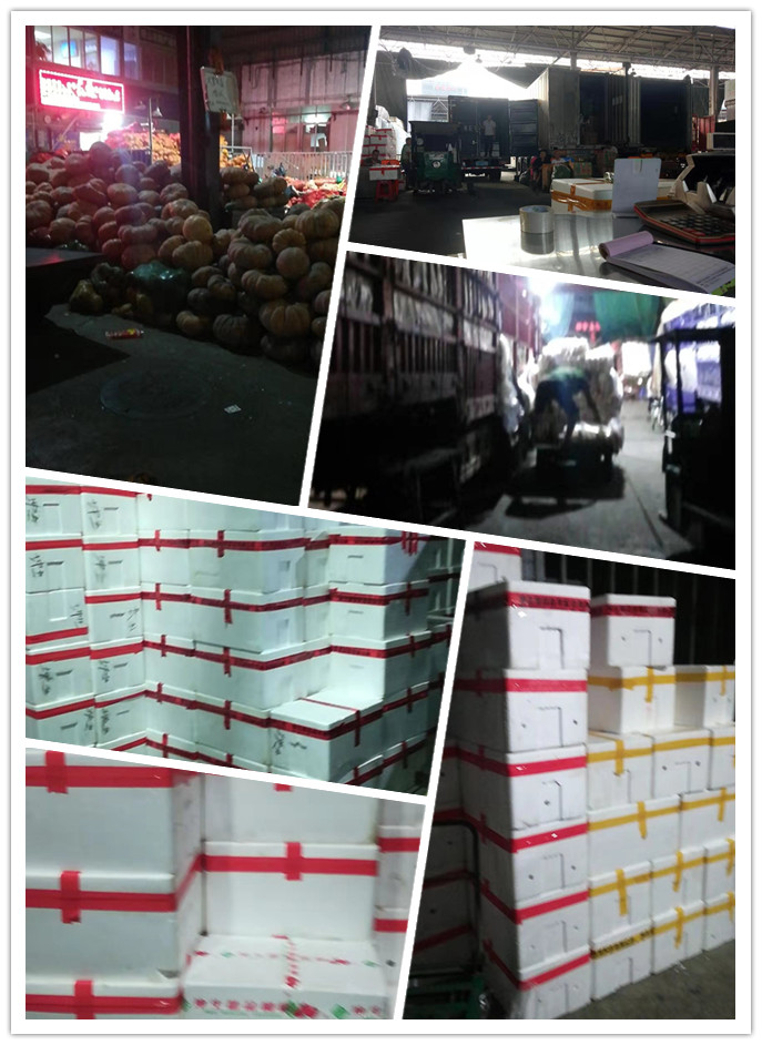 德赢·(VWIN)官方网站-AC米兰官方合作同伴