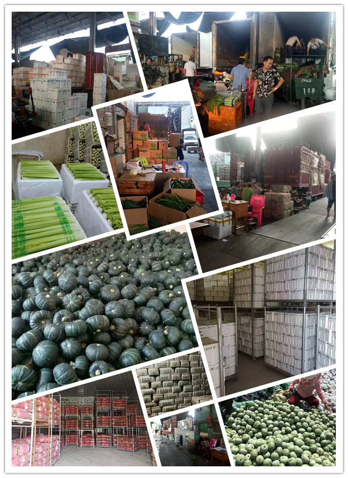 德赢·(VWIN)官方网站-AC米兰官方合作同伴