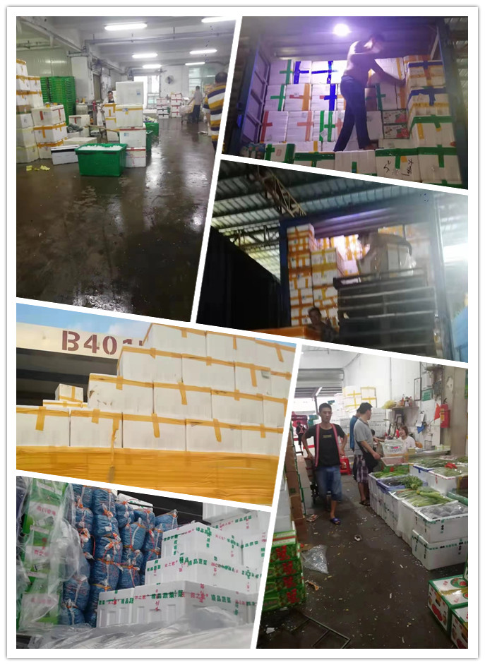 德赢·(VWIN)官方网站-AC米兰官方合作同伴