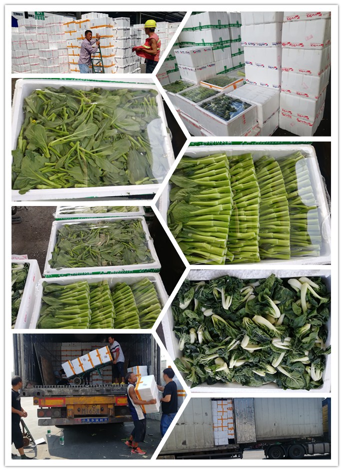 德赢·(VWIN)官方网站-AC米兰官方合作同伴