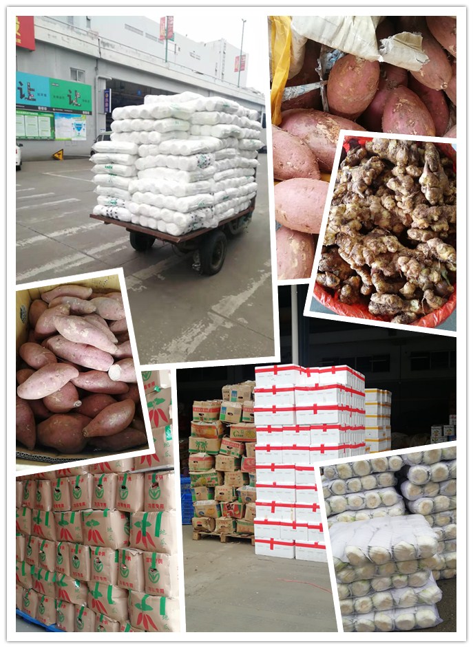 德赢·(VWIN)官方网站-AC米兰官方合作同伴