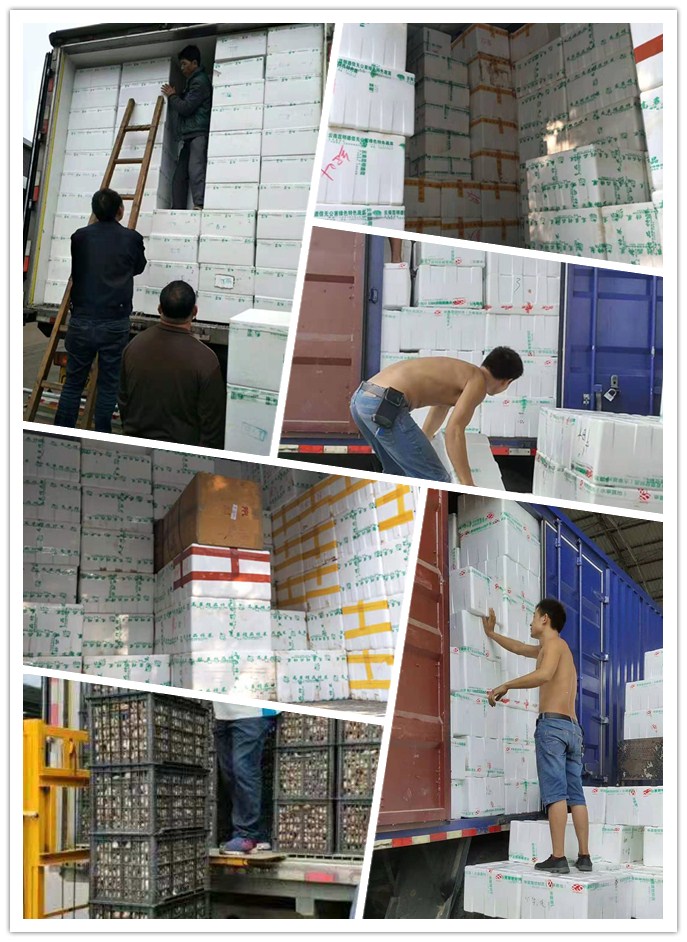 德赢·(VWIN)官方网站-AC米兰官方合作同伴