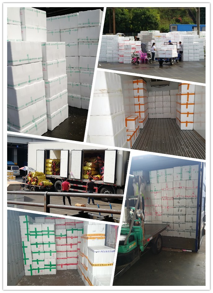 德赢·(VWIN)官方网站-AC米兰官方合作同伴