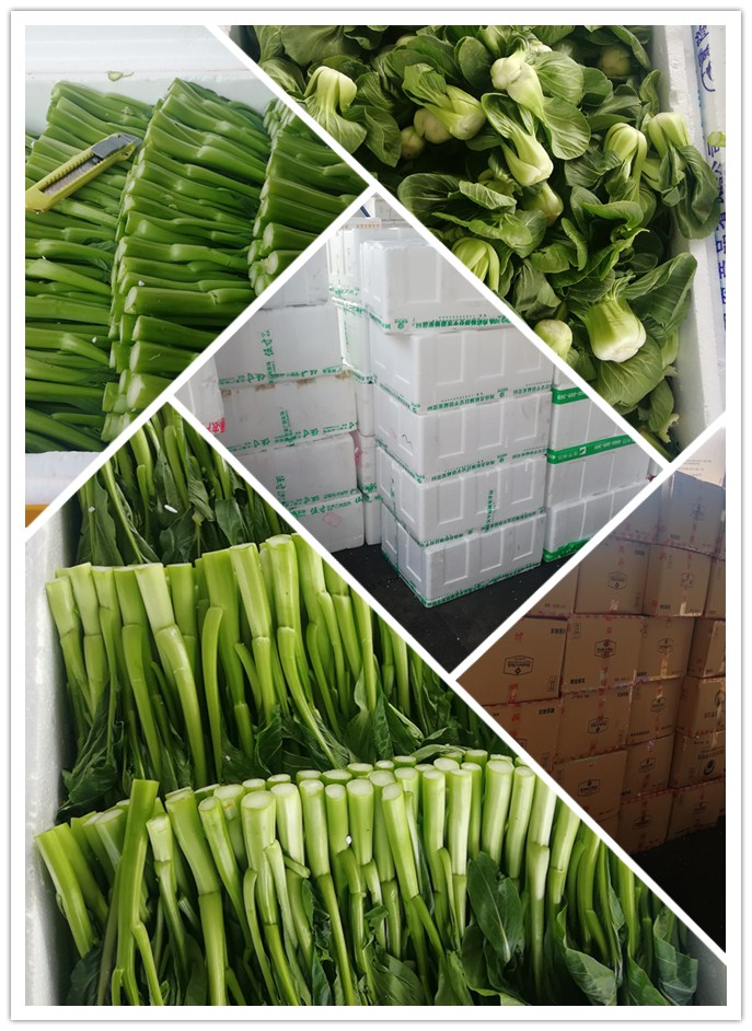 德赢·(VWIN)官方网站-AC米兰官方合作同伴