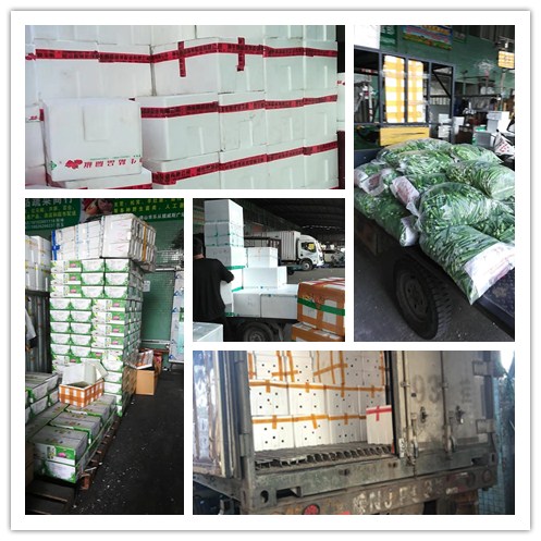 德赢·(VWIN)官方网站-AC米兰官方合作同伴