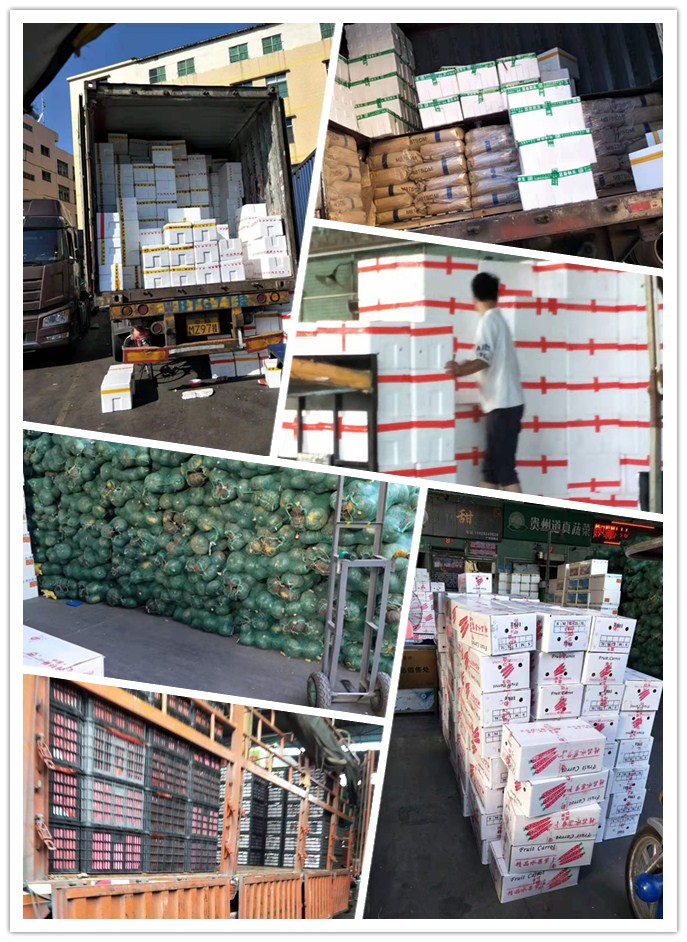 德赢·(VWIN)官方网站-AC米兰官方合作同伴