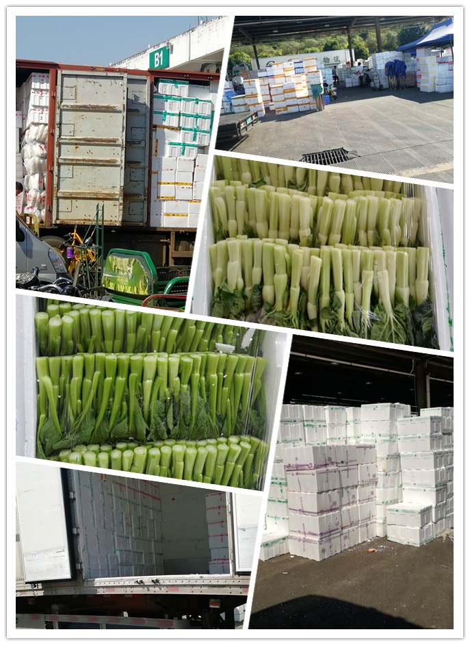 德赢·(VWIN)官方网站-AC米兰官方合作同伴