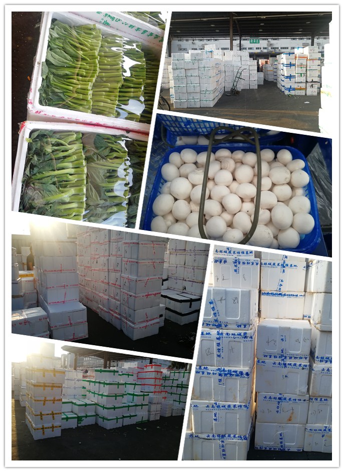 德赢·(VWIN)官方网站-AC米兰官方合作同伴