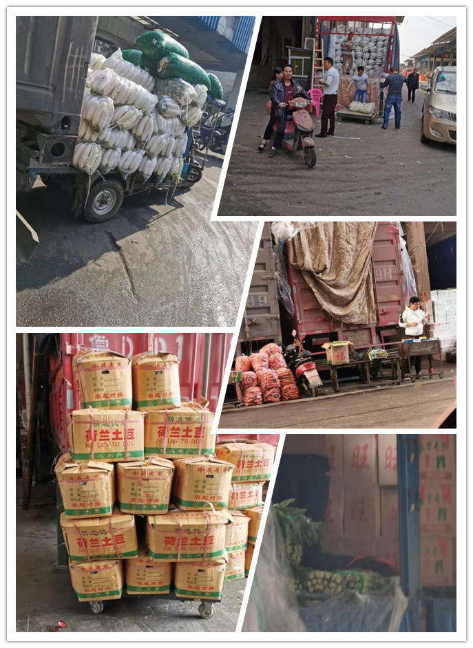 德赢·(VWIN)官方网站-AC米兰官方合作同伴