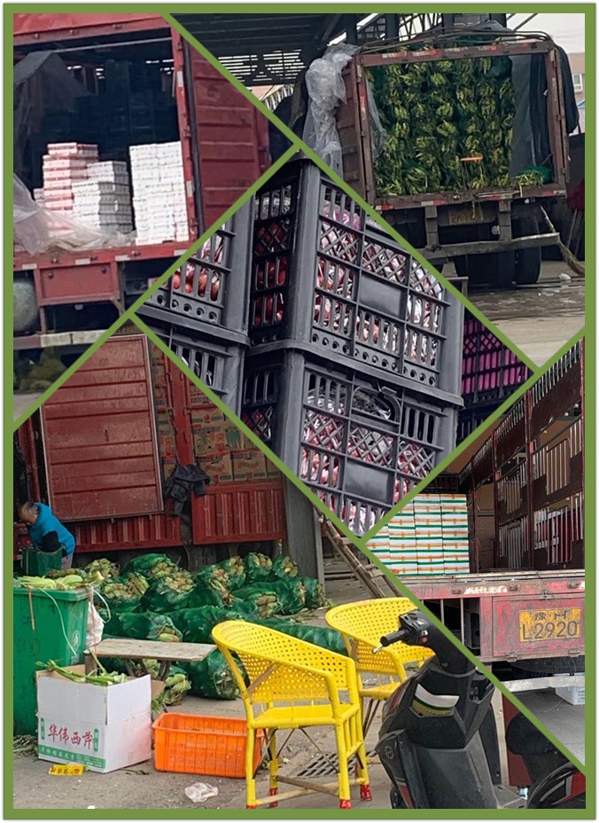 德赢·(VWIN)官方网站-AC米兰官方合作同伴