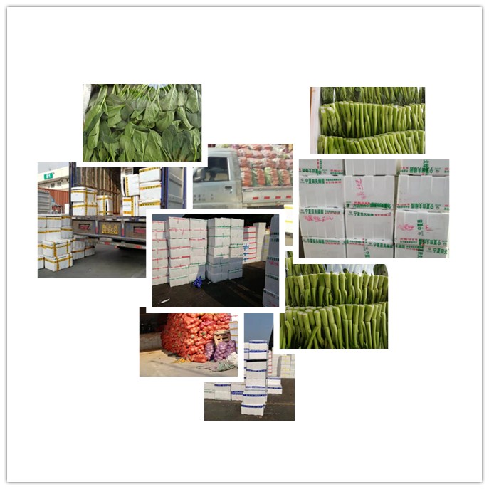 德赢·(VWIN)官方网站-AC米兰官方合作同伴