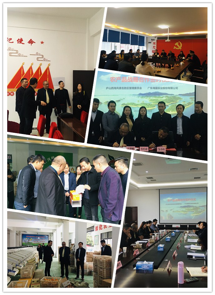 德赢·(VWIN)官方网站-AC米兰官方合作同伴