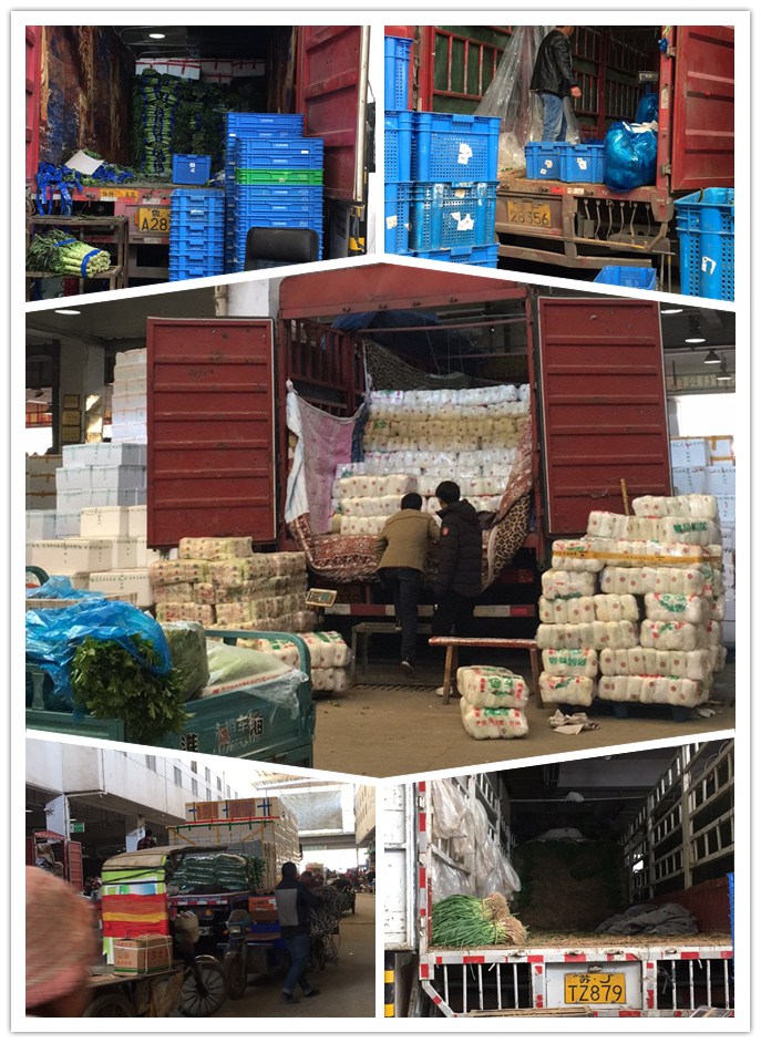 德赢·(VWIN)官方网站-AC米兰官方合作同伴