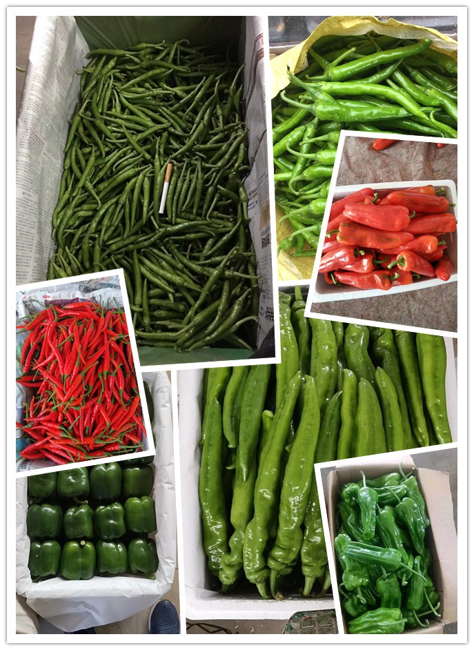 德赢·(VWIN)官方网站-AC米兰官方合作同伴