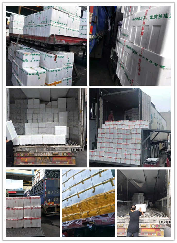 德赢·(VWIN)官方网站-AC米兰官方合作同伴