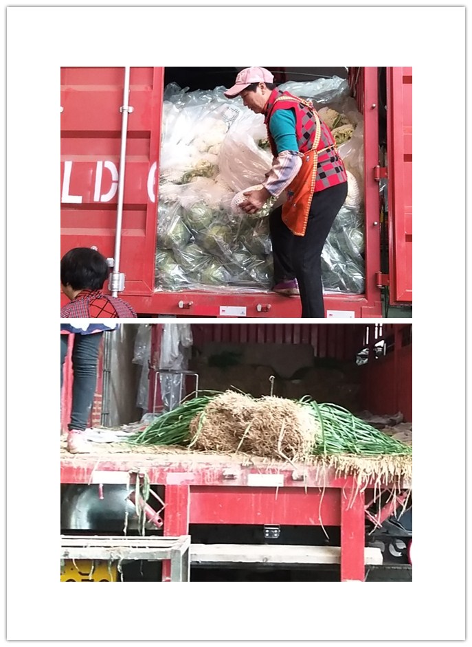 德赢·(VWIN)官方网站-AC米兰官方合作同伴