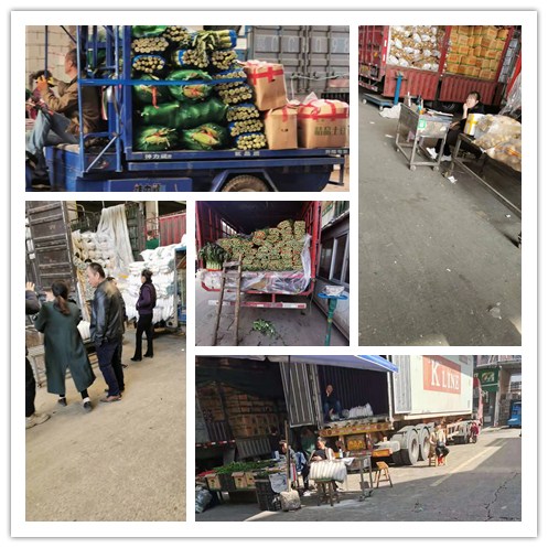 德赢·(VWIN)官方网站-AC米兰官方合作同伴