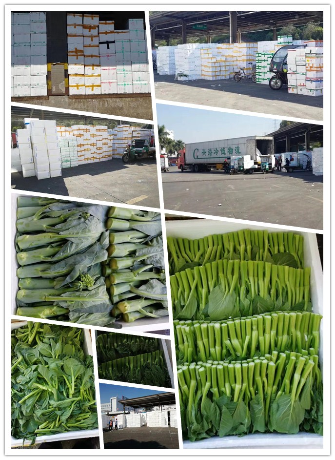 德赢·(VWIN)官方网站-AC米兰官方合作同伴