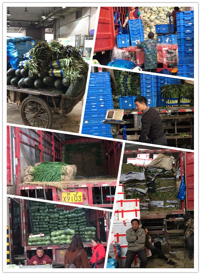 德赢·(VWIN)官方网站-AC米兰官方合作同伴