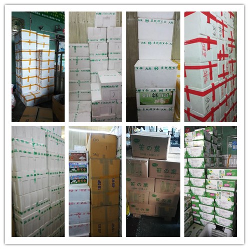 德赢·(VWIN)官方网站-AC米兰官方合作同伴