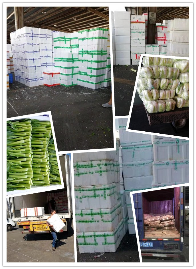 德赢·(VWIN)官方网站-AC米兰官方合作同伴