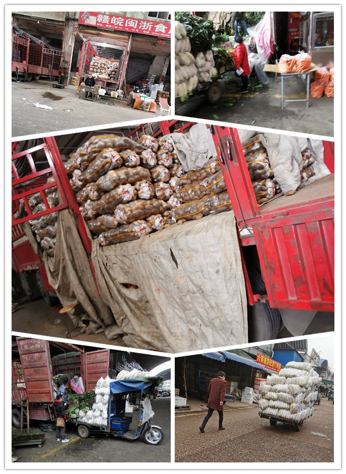 德赢·(VWIN)官方网站-AC米兰官方合作同伴