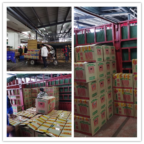 德赢·(VWIN)官方网站-AC米兰官方合作同伴